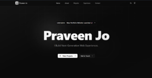 Full Stack Developer